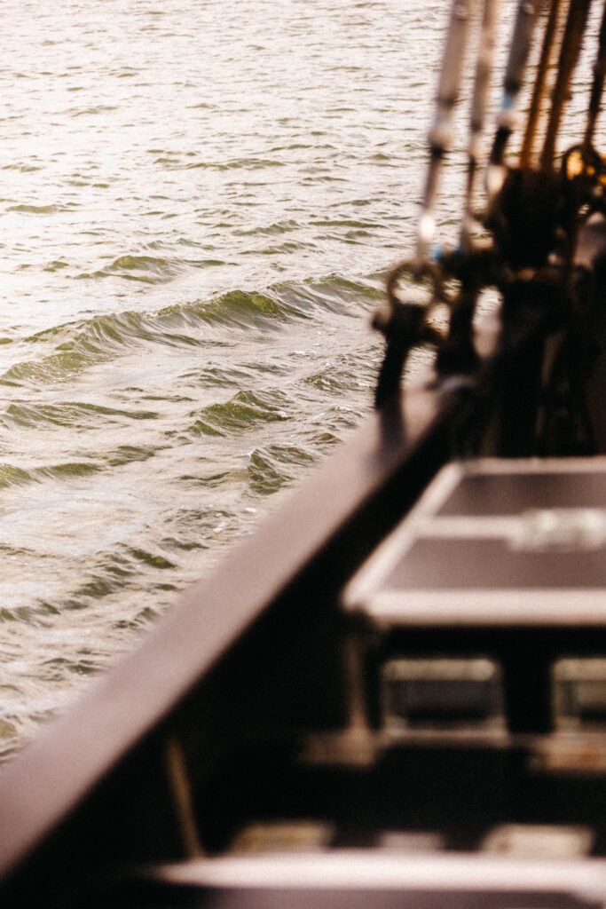 Pineapple Project Boat Party 2025 mario.image 00006