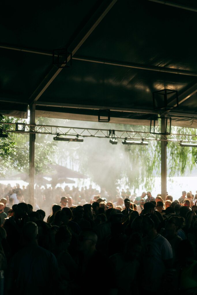 HARMLOS TECHNO summer festival Switzerland 202500031