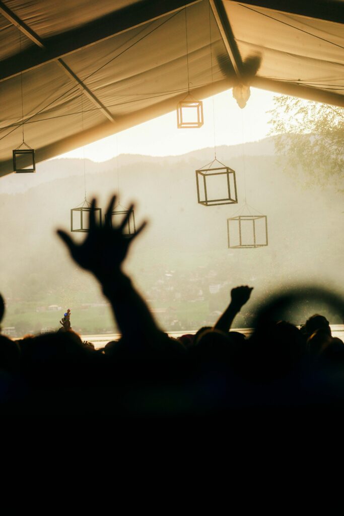 HARMLOS TECHNO summer festival Switzerland 202500047