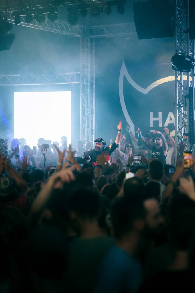 HARMLOS TECHNO summer festival Switzerland 202500050